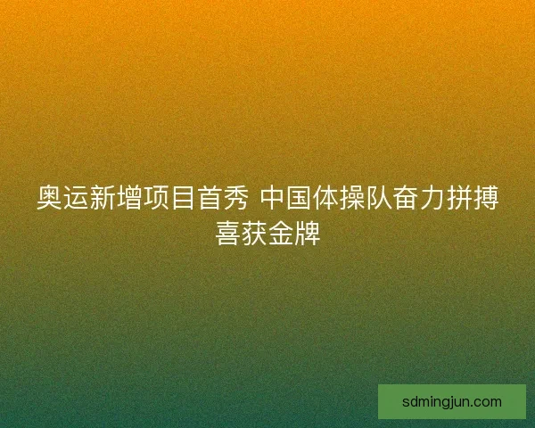奥运新增项目首秀 中国体操队奋力拼搏喜获金牌