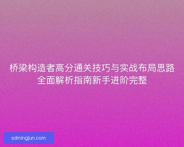 桥梁构造者高分通关技巧与实战布局思路全面解析指南新手进阶完整