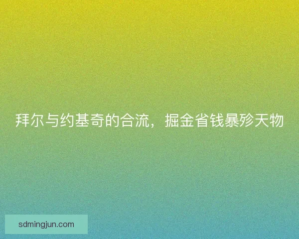 拜尔与约基奇的合流，掘金省钱暴殄天物
