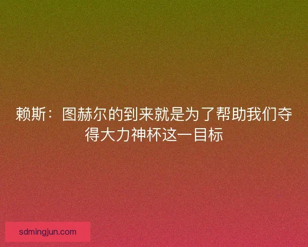 赖斯：图赫尔的到来就是为了帮助我们夺得大力神杯这一目标